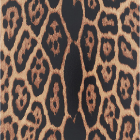 Leopard-01_0ef6529a-fc15-4509-8c8a-97fd4d979414.png