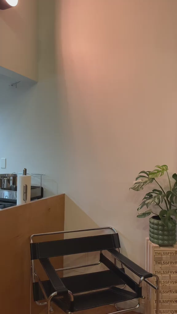 SHES A RUBY STAR - LEFT